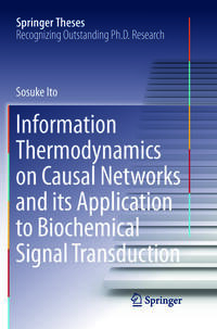 Information Thermodynamics on Causal Networks and its Application to Biochemical Signal Transduction