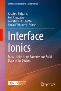 Interface Ionics